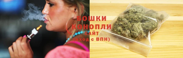 метадон Богданович