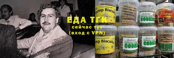 метадон Богданович