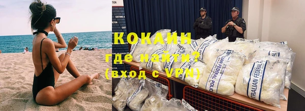 метадон Богданович
