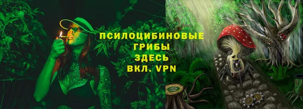 метадон Богданович