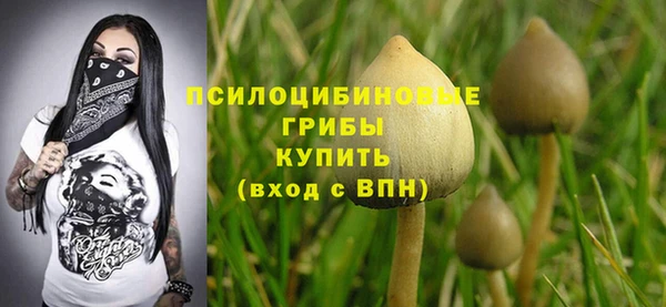 кокаин перу Богородицк