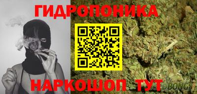МДПВ Лесосибирск